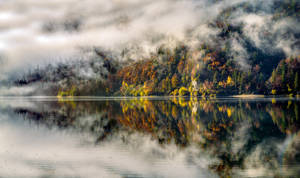 Pure Reflection