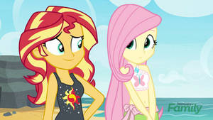 New swimsuits in style