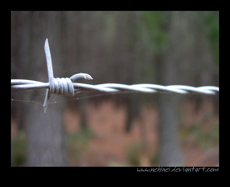 Barbed Wire