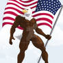 The American Hero the bald eagle