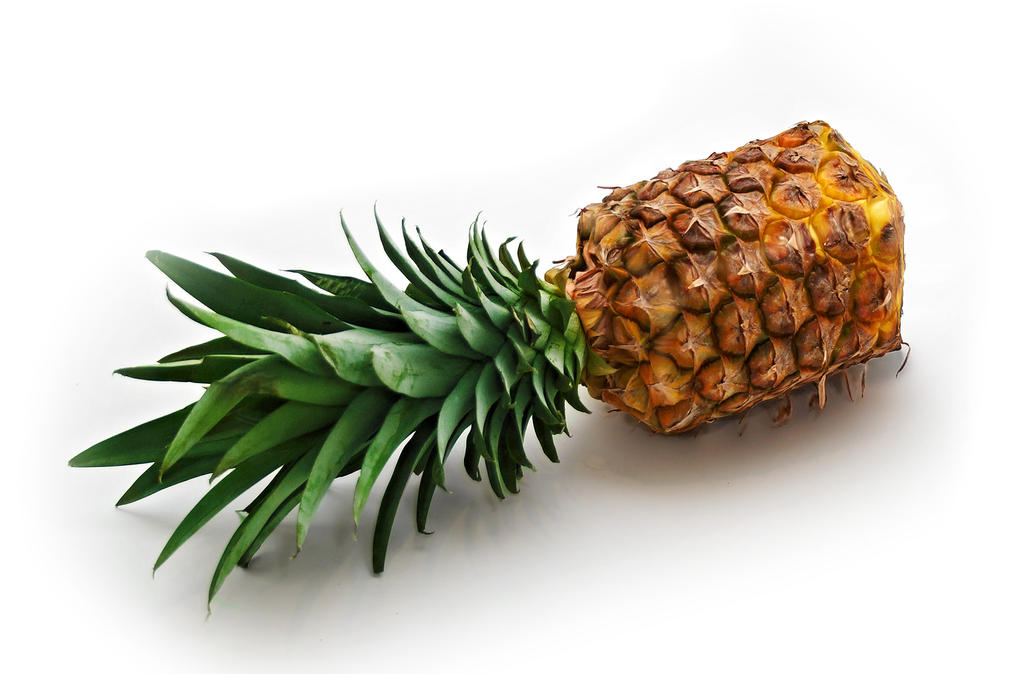 Rectangle Pineapple