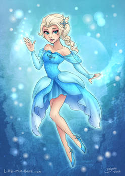 DMGS: Elsa