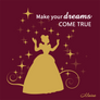 Cinderella - Make your dreams come true