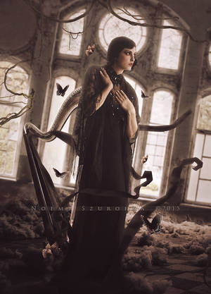 Leda by shadeley Leda by shadeley