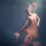 The Jellyfish