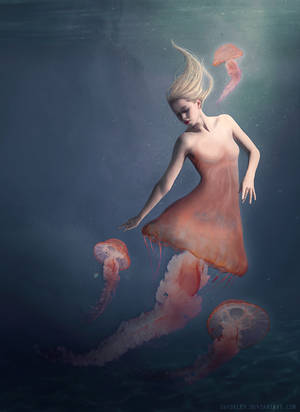 The Jellyfish by shadeley The Jellyfish by shadeley