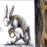 . Follow The White Rabbit .