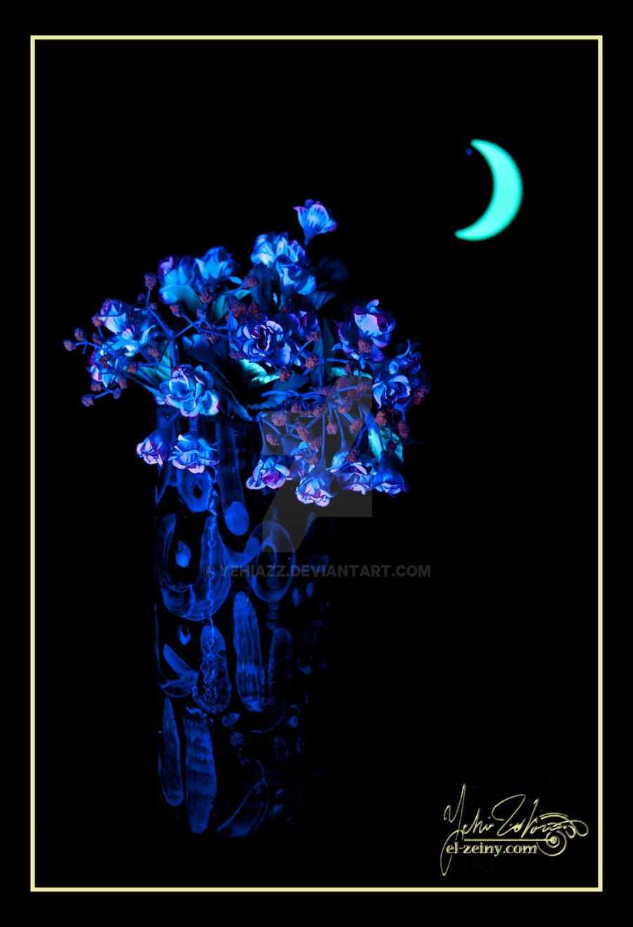 Black_Light_Flowers