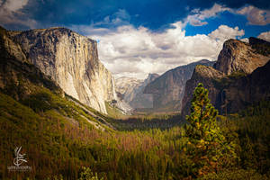 Yosemite 2017