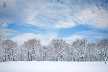 The Pittsburgh Snow