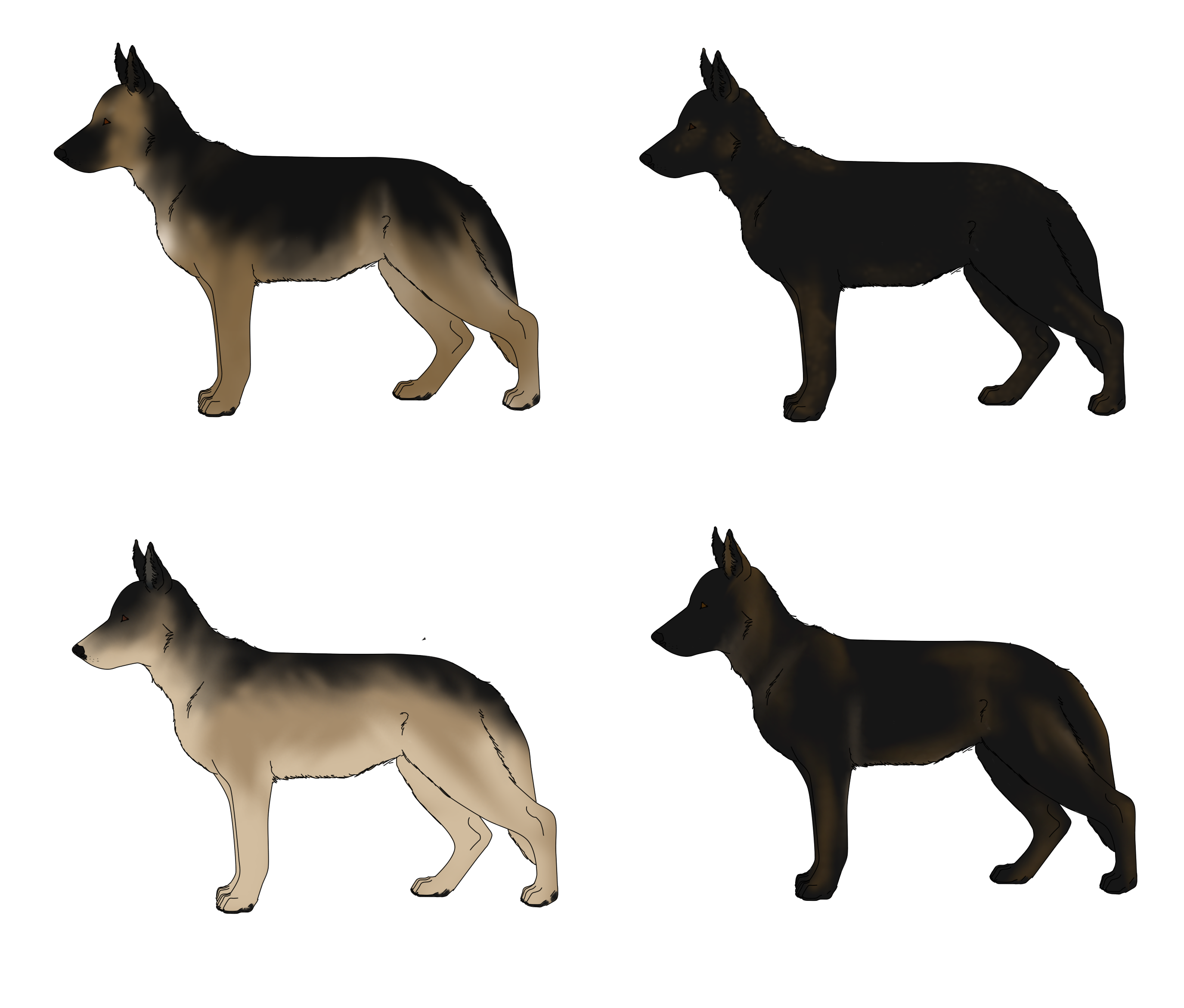 German Shepherd Dog Adoptables