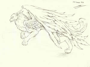 Griffin