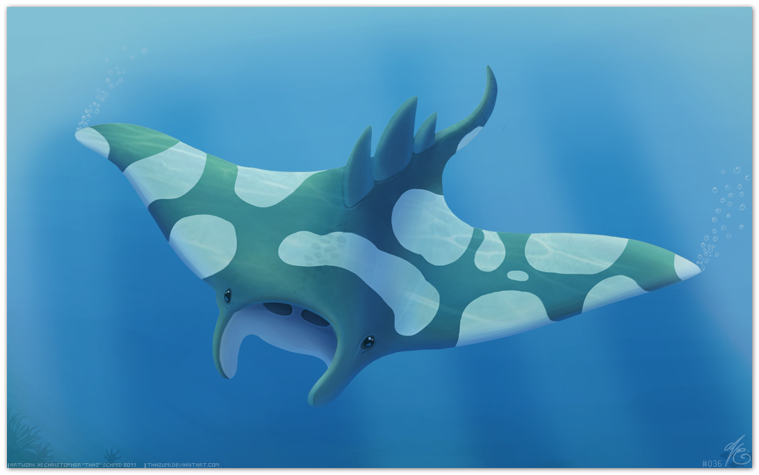 Manta Ray