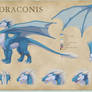 Draconis Reference Sheet