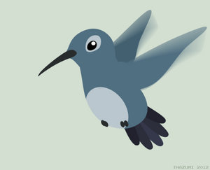 Hummingbird Animation Test