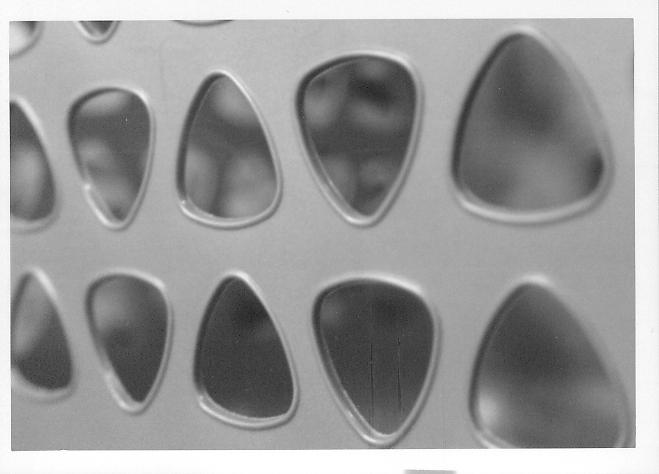Mysterous Patterns Mysterious Pattern by Sir-Bert-Leaman on DeviantArt