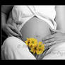 Pregnancy - photo 5