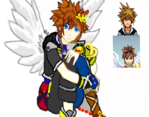 sora or pit