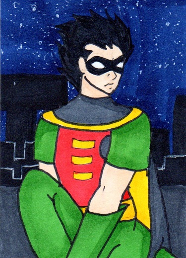 Teen Titans GO: Robin