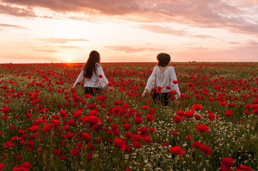 Red flowers in Dobrogea | Sanziene