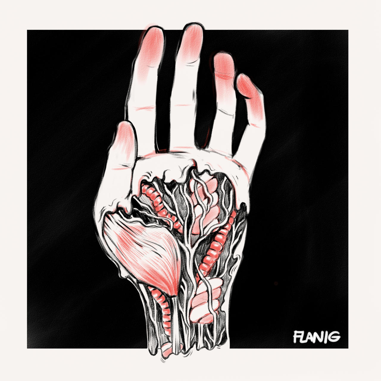 Dissection by kokeshiturqoise on DeviantArt