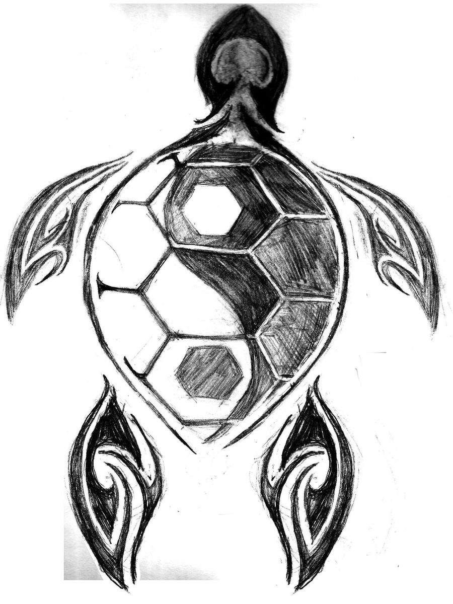 Turtle Tattoo Request Sketch