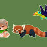 Safari