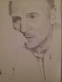 Liam Neeson WIP