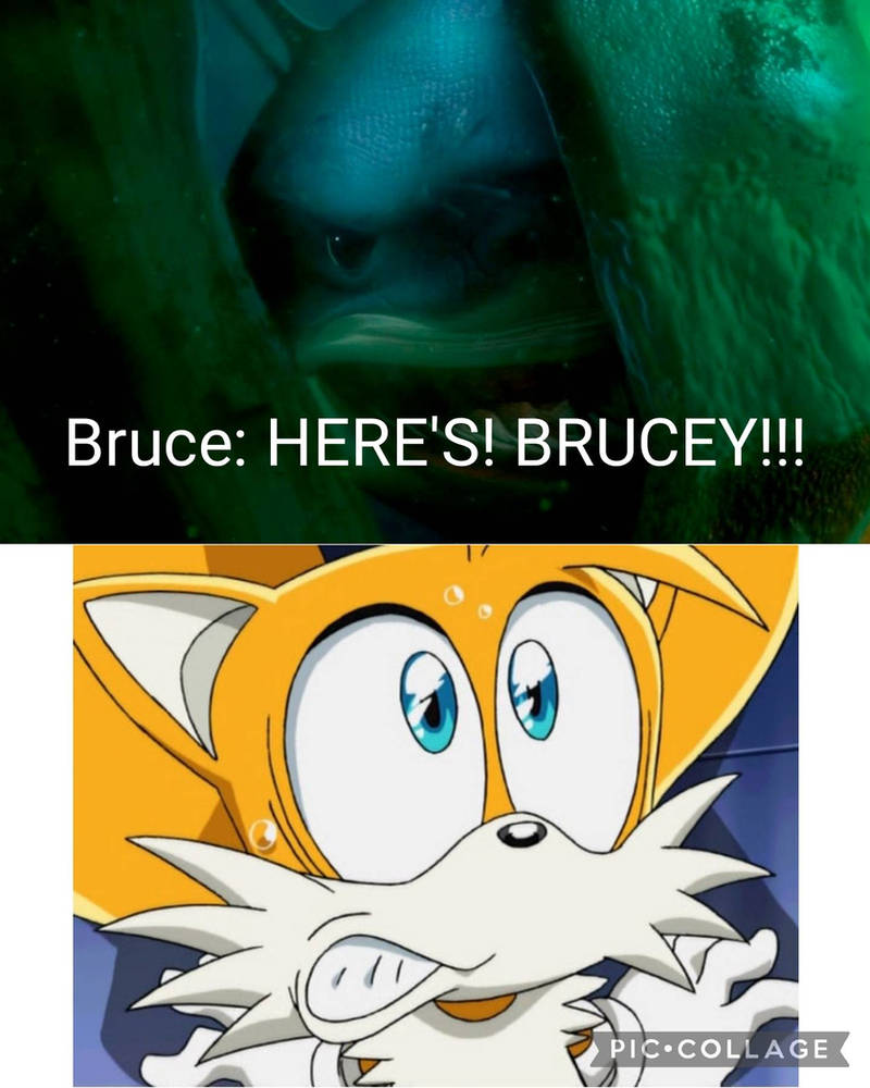 Bruce Scared Deviantart Bruce scares Tails by ArtyDoesPictures on DeviantArt