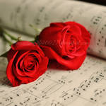 Love Song by musicismylife10027