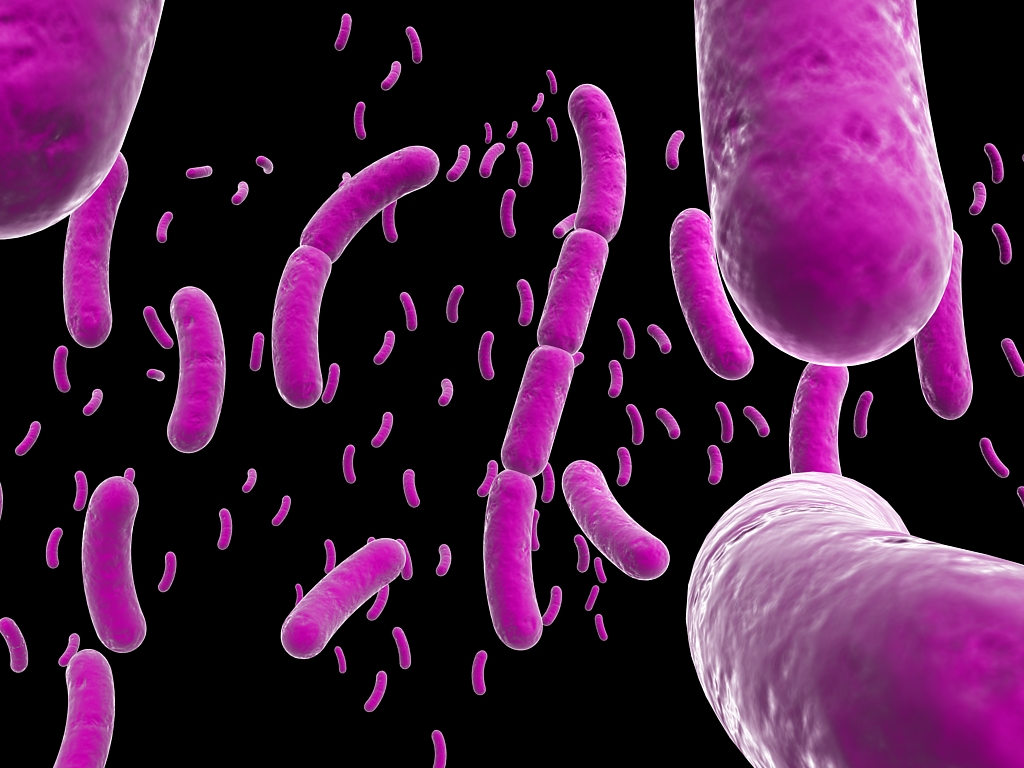 Bacillales Bacillus Bacteria by ELECTROfanatic on DeviantArt