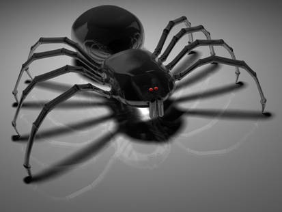 Black Spider