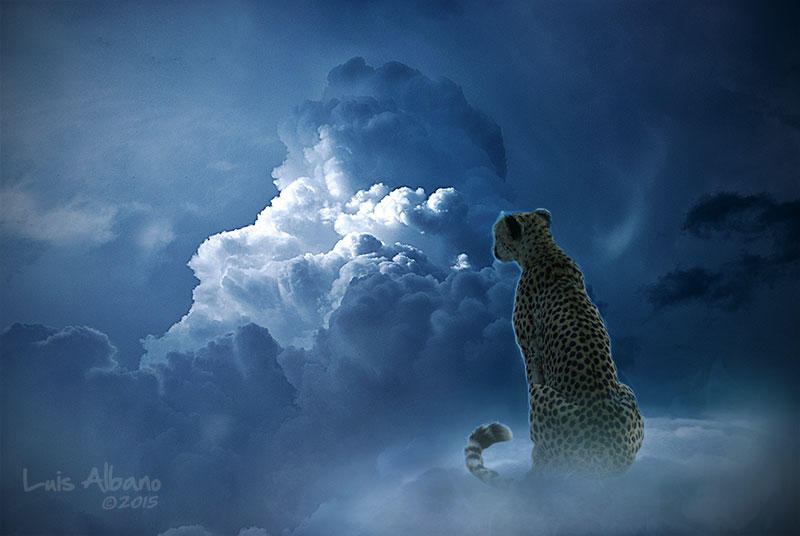 Over the Clouds 46 by Miztliyuma Over the Clouds 46 by Miztliyuma