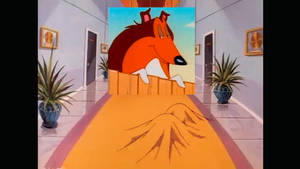 24 - Tiny Toon Adventures - Roudness in cartoons