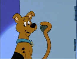A Pup Named Scooby - Doo - Gif