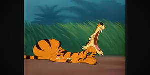 Tiger Problem