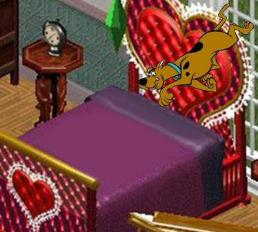 Scooby - Doo under the blanket