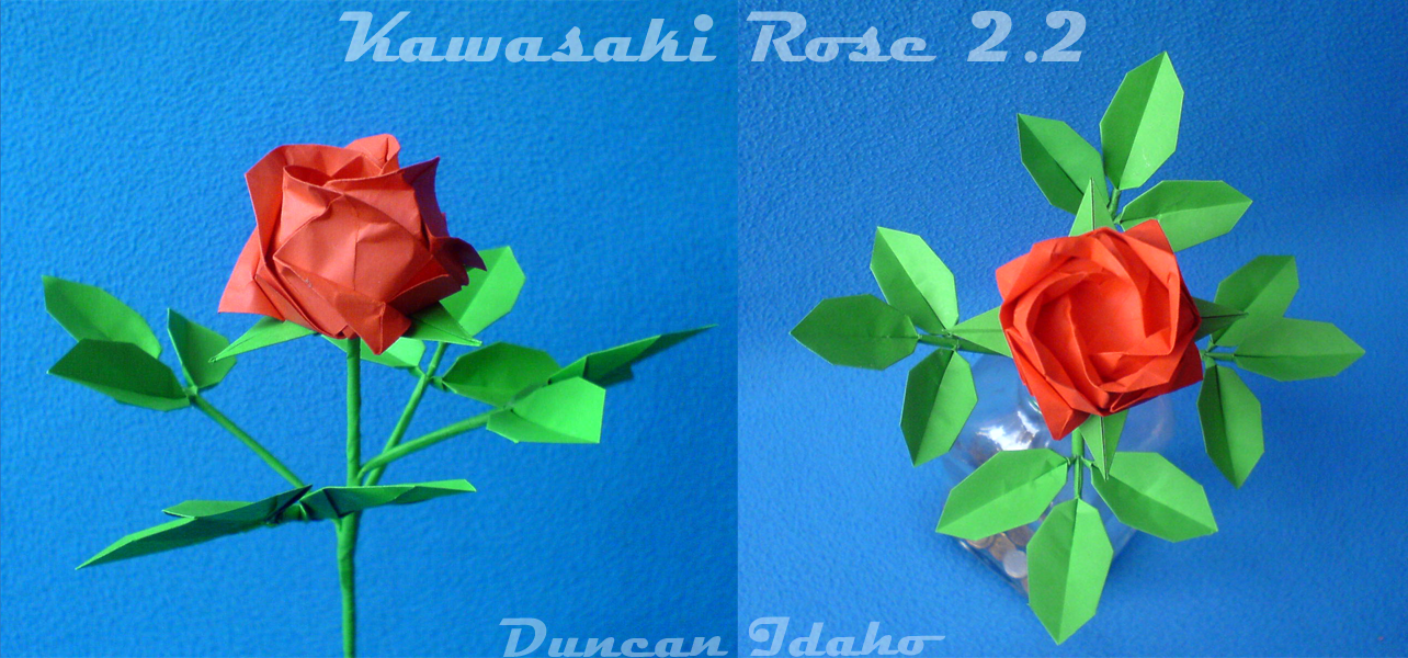 Kawasaki Rose 2.2