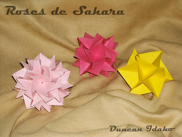 Roses de Sahara