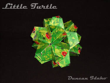 Little Turtle