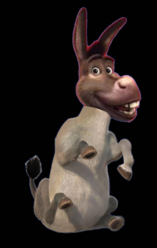 Donkey Rimi Donkey by robbieholder on DeviantArt