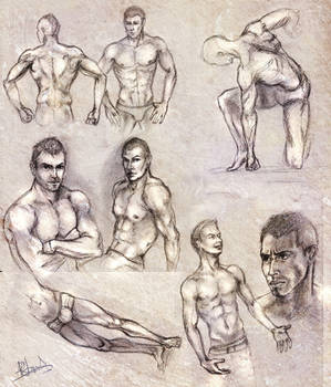 Male anatomy sketches