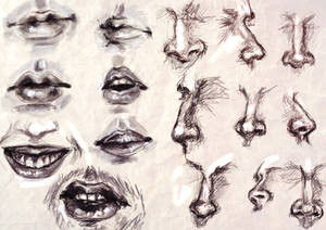 Study - Mouth and Nose