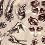 Study 2- Eyes and Hands