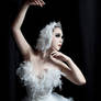 Odette - Swan Lake