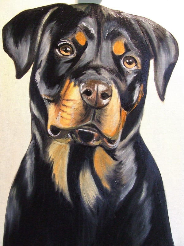 Aladdin Rottweiler by FireholderMistress on DeviantArt