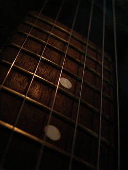 Frets and Strings