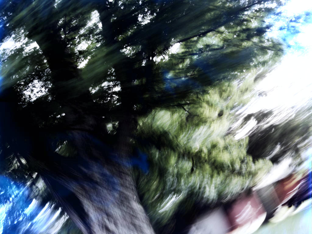 Muddled Tree by XSilverSheWolfX on DeviantArt