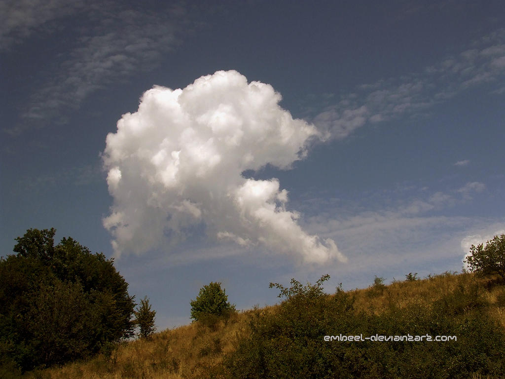 Creature Of The Summer Sky