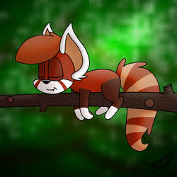 Sleepy Red Panda